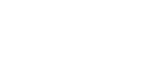 VinAi VinAi