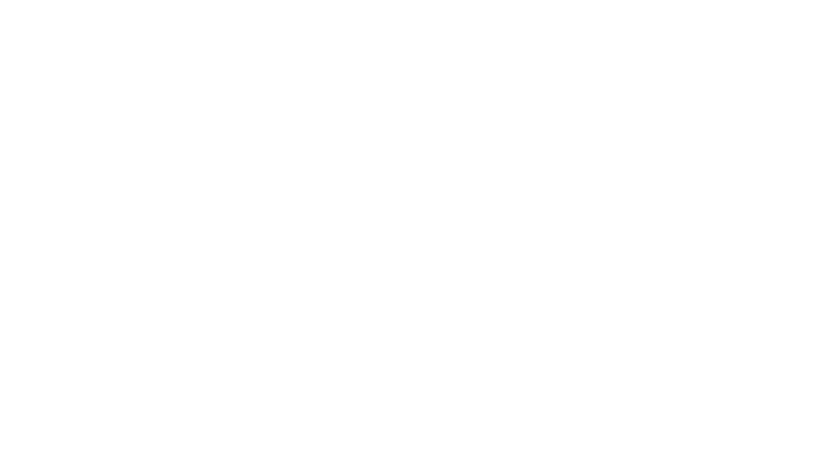 NDI white padded logo NDI 标识