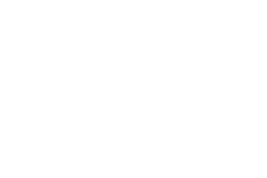 cPanel cPanel