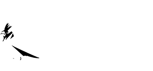 CD Projekt Red CD Projekt Red