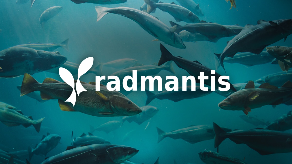 Radmantis 成功案例